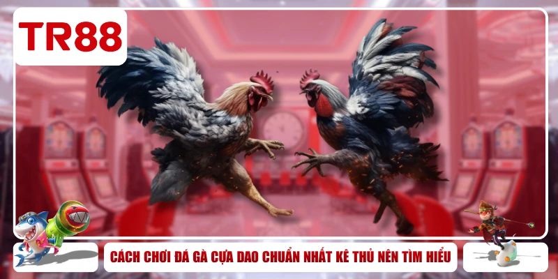Đá Gà Cựa Dao