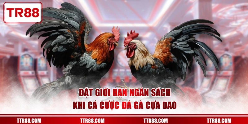 Đặt giới hạn ngân sách khi cá cược đá gà cựa dao