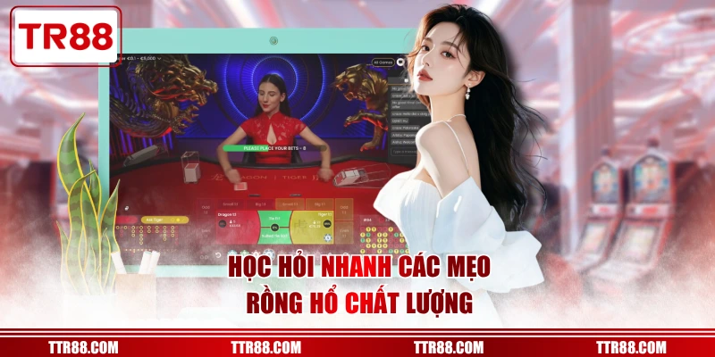 Học hỏi nhanh các mẹo Rồng Hổ chất lượng