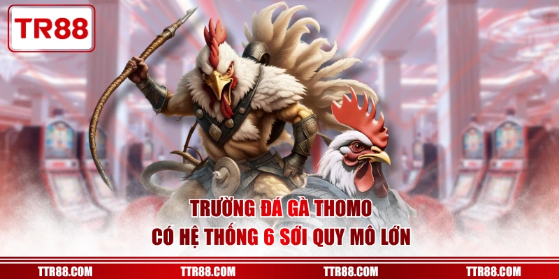Trường đá gà Thomo có hệ thống 6 sới quy mô lớn