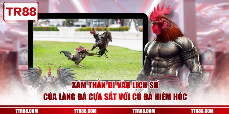 Xám Thần đi vào lịch sử của làng đá cựa sắt với cú đá hiểm hóc
